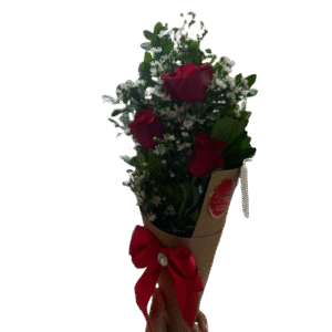 Cone de Flores Vermelhas | Laço